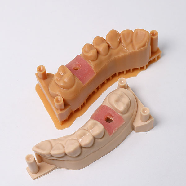 Dental models printed using IFUN gingiva mask resin 3161