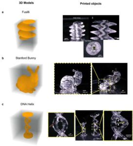 3D printed samples made with EPFL’s PLM-based holographic VAM system.