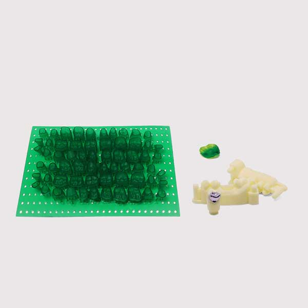 A build plate from a 3D printer covered with green resin dental crown models with supports, next to a finished cast metal crown demonstrating a perfect fit on a white dental mold.