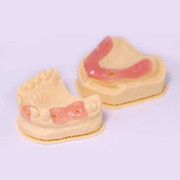 Two dental arch models, one upper and one lower, featuring lifelike pink gingiva masks and teeth, shown against a white background.
