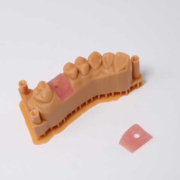 A dental arch model with a pink gingiva mask, next to a detached, trimmed piece of the same resin, highlighting its ease of use.