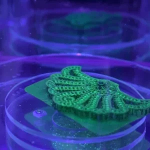 A detailed green resin 3D printed jewelry model with supports, placed on a transparent platform inside a UV curing chamber under purple light