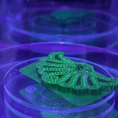 A detailed green resin 3D printed jewelry model with supports, placed on a transparent platform inside a UV curing chamber under purple light
